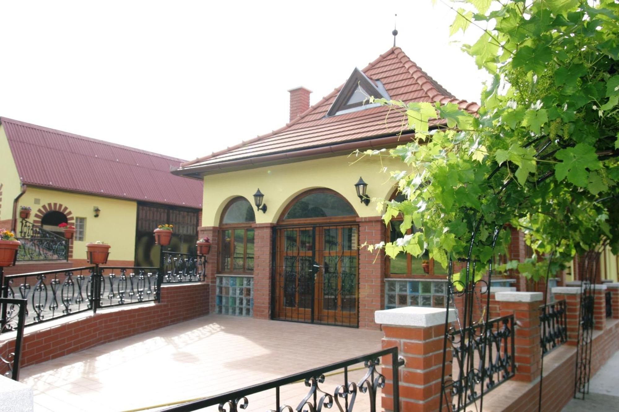 Villa Teleki المظهر الخارجي الصورة