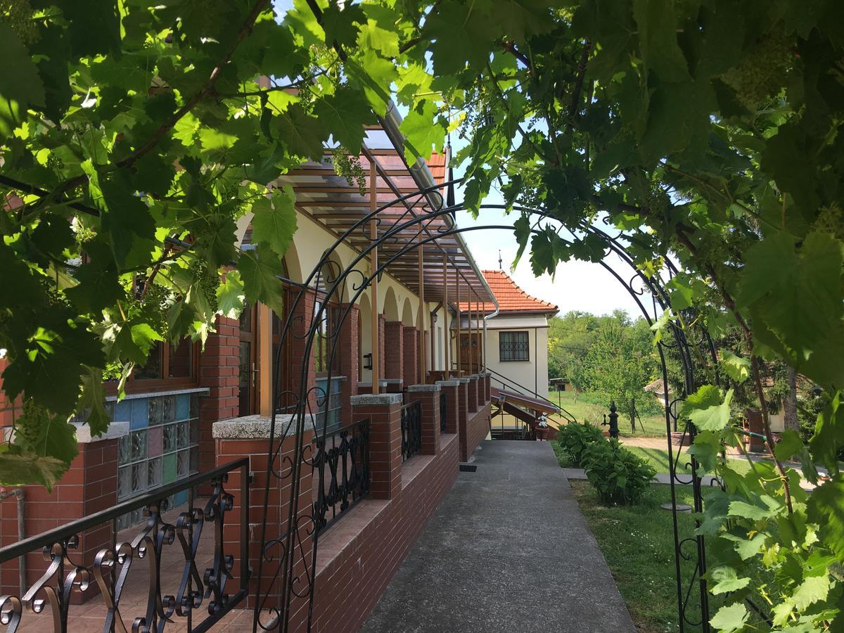 Villa Teleki المظهر الخارجي الصورة
